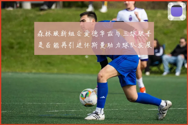 森林狼新组合爱德华兹与三球联手是否能再引进怀斯曼助力球队发展
