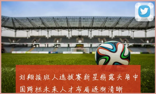 刘翔接班人选拔赛新星崭露头角中国跨栏未来人才布局逐渐清晰